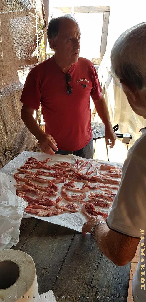 HOMMAGE A N.D. DE SANTA CRUZ A DALIAS DU 7 AU 10 JUIN 2019 (304) BARBECUE CHEZ ANGE A LA CANADA.jpg